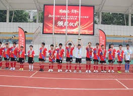 2026世界杯观赛全攻略及独家福利揭秘